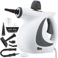 Steam Disinfection Cleaner